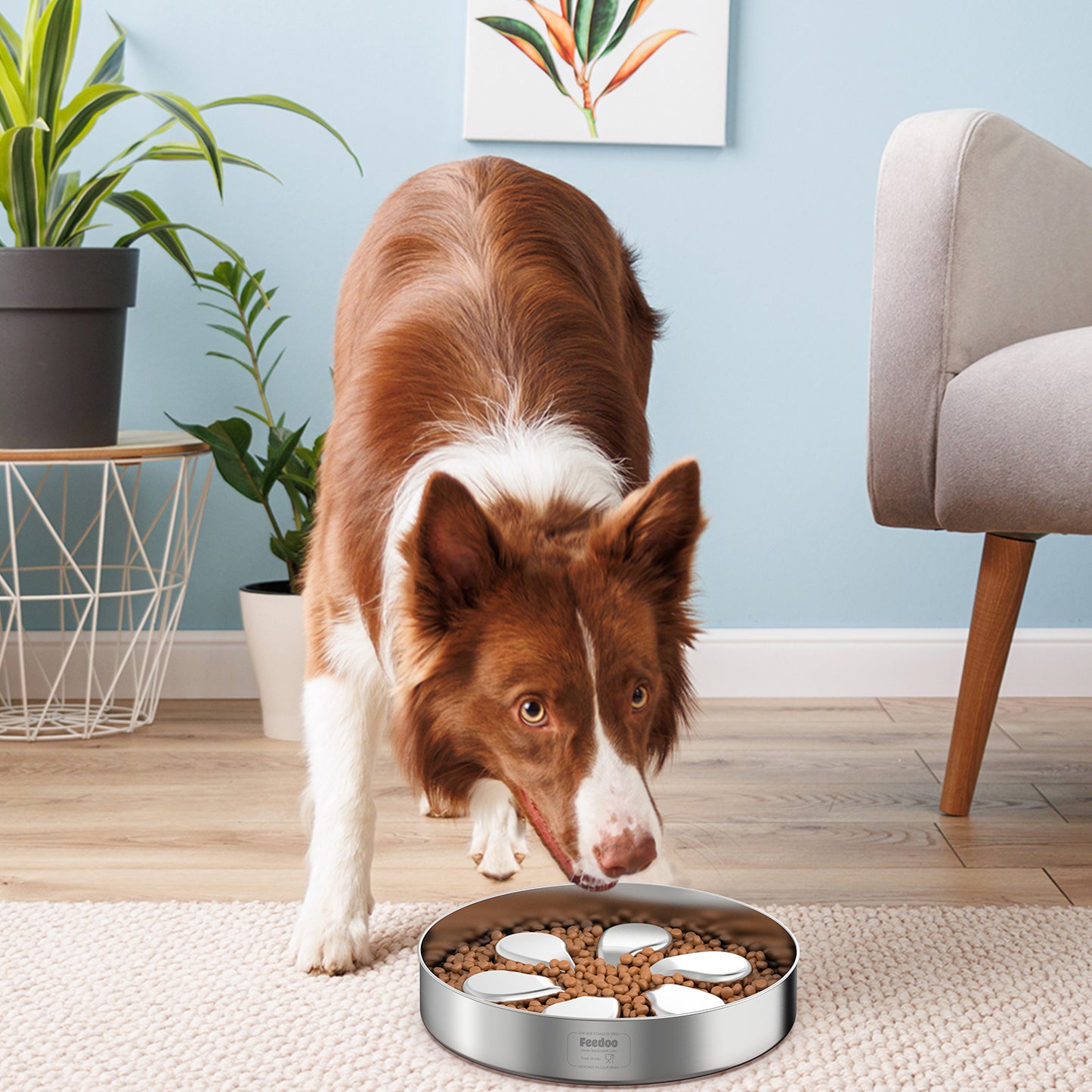 Slow Feeder Dog Bowl