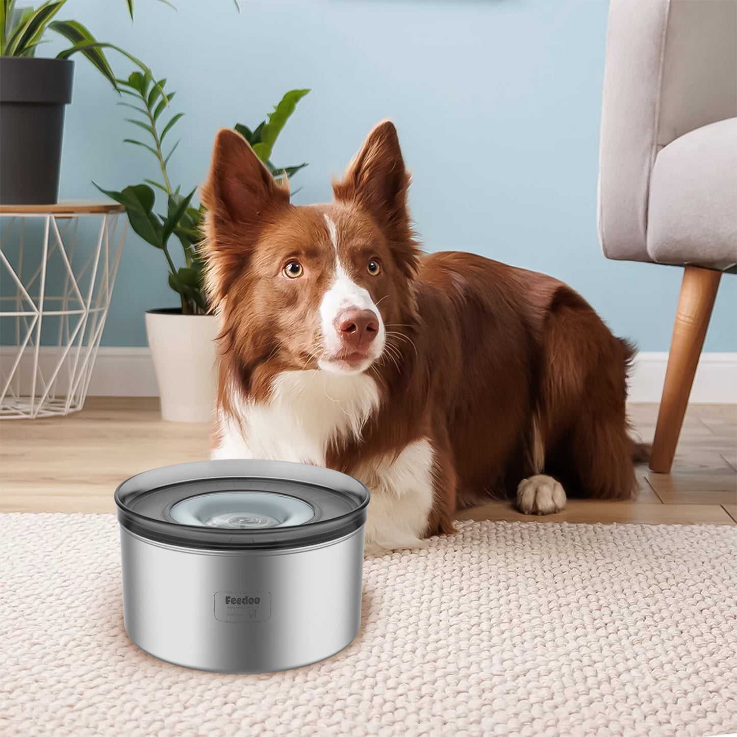 Spill Proof Dog Water Bowl