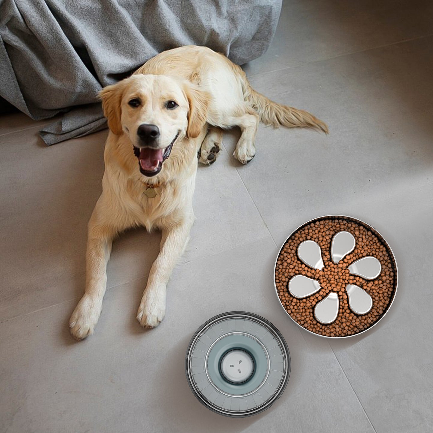 Slow Feeder Dog Bowl