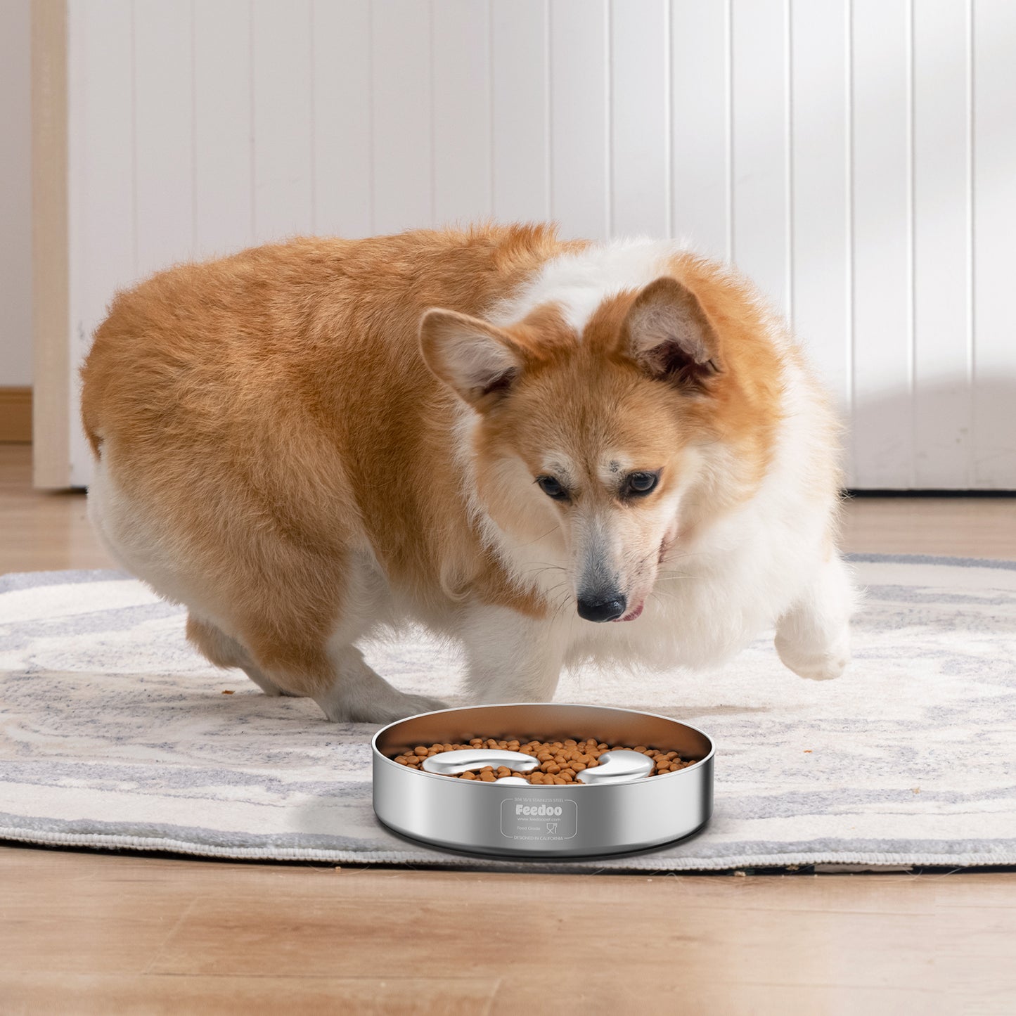 Slow Feeder Dog Bowl