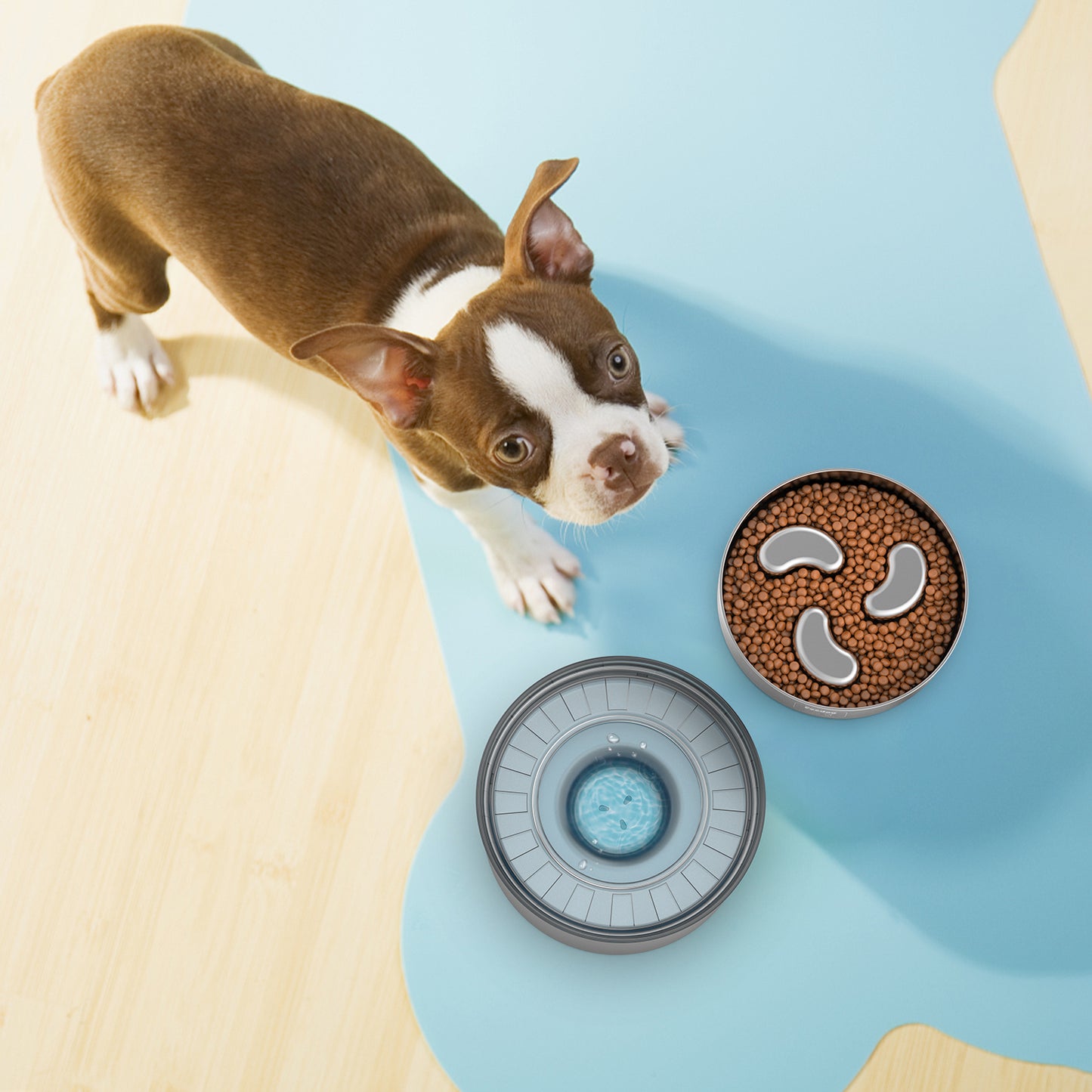 Slow Feeder Dog Bowl