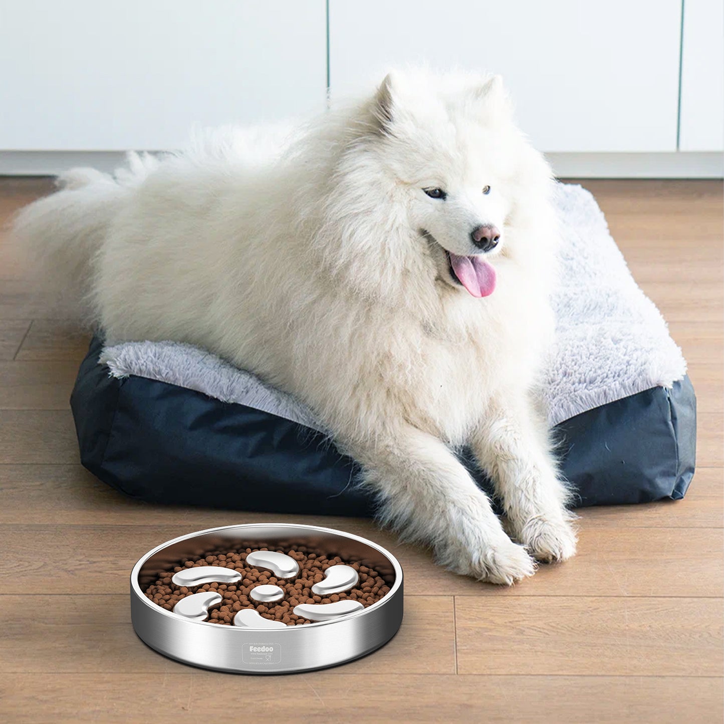 5 diameter cat food bowls in stand Elevated Food-Grade Feeder Stand With Stainless Steel Cat Bowls  (Vet-Recommended!)
